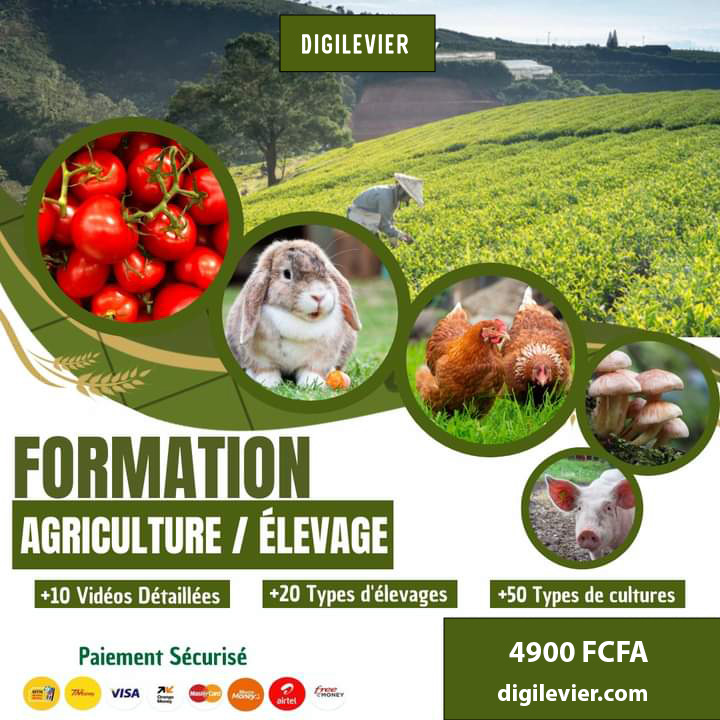 Formation en Agriculture et Élevage: 80+ types d'élevages et de cultures